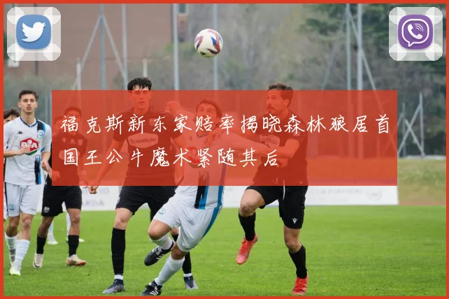福克斯新东家赔率揭晓森林狼居首国王公牛魔术紧随其后