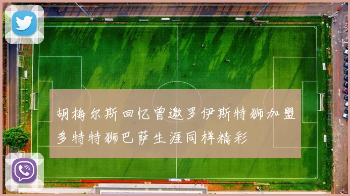 胡梅尔斯回忆曾邀罗伊斯特狮加盟多特特狮巴萨生涯同样精彩