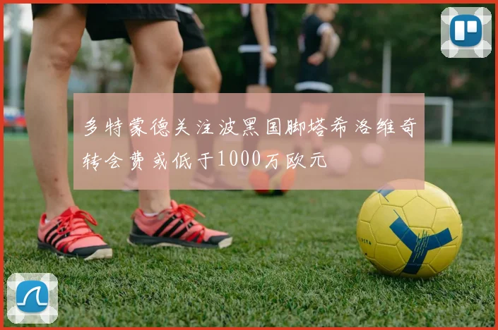 多特蒙德关注波黑国脚塔希洛维奇转会费或低于1000万欧元